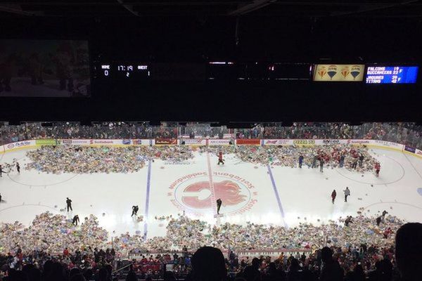 Zamislite preko 28.000 medvedića na hokejaškom terenu! (FOTO) (VIDEO)