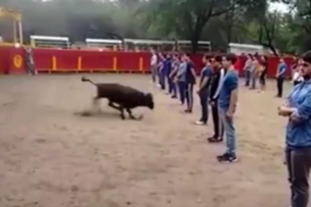 Opasan eksperiment: Pustio je razjarenog bika na studente! (VIDEO)