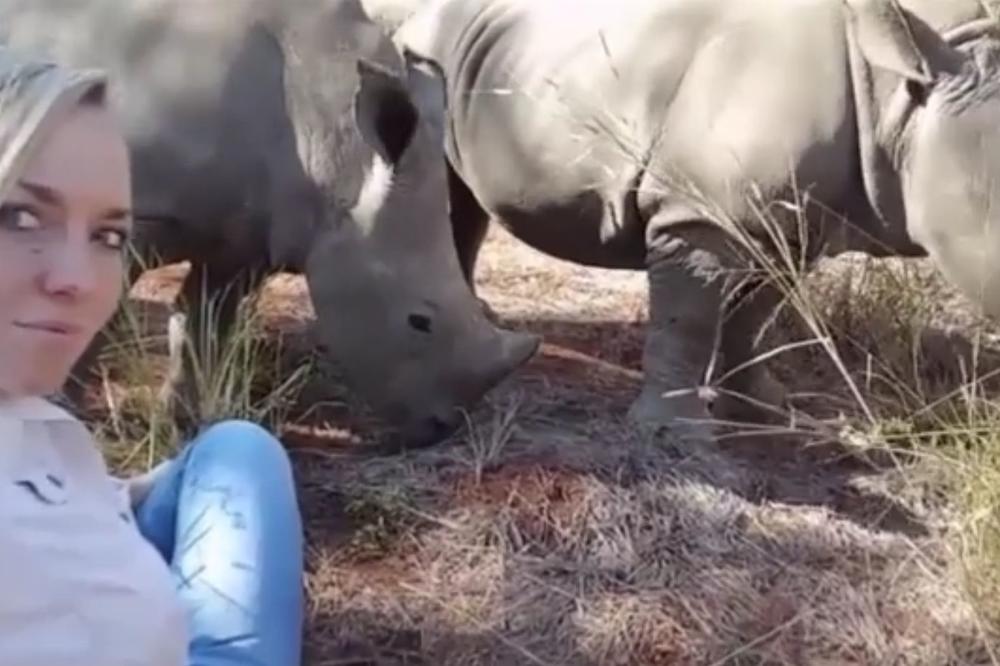 Nosorogova je ljubav pregolema: On obooožavaaa svoju gazdaricu! (VIDEO)