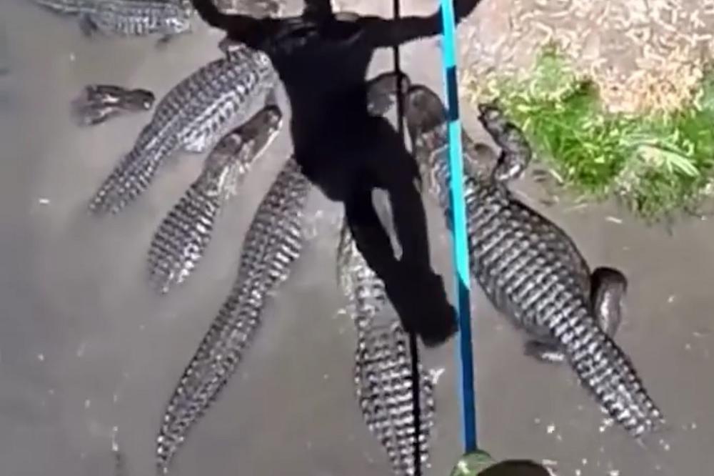Aligatori su jedva čekali priliku da ga RASKOMADAJU dok je prelazio jezero SAMO NA KANAPU! (VIDEO)