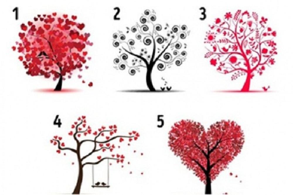 Šta drvo koje odaberete govori o vašem LJUBAVNOM ŽIVOTU? (FOTO) (GIF)