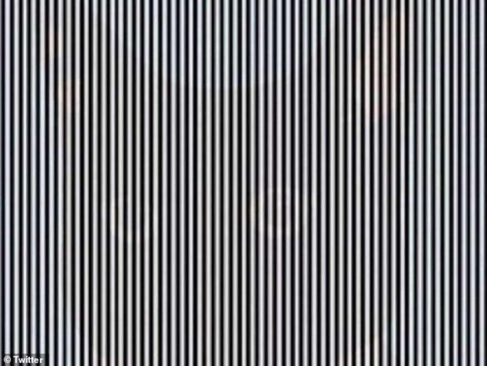 Optička iluzija 