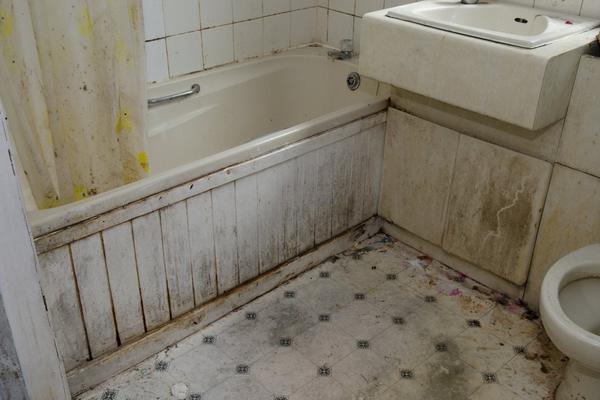NIJE WC ŠOLJA, KAO ŠTO SVI MISLE: Ovo je najprljaviji deo kupatila, bakterije se samo množe
