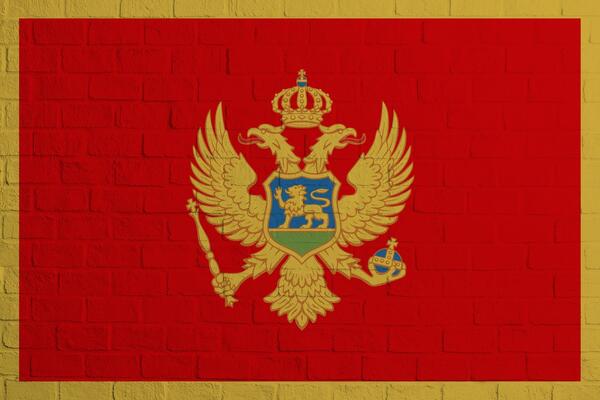OVAJ VIC ĆETE DANIMA PREPRIČAVATI KOLIKO JE GENIJALAN: Kako se zove KINEZ rođen u Crnoj Gori?!