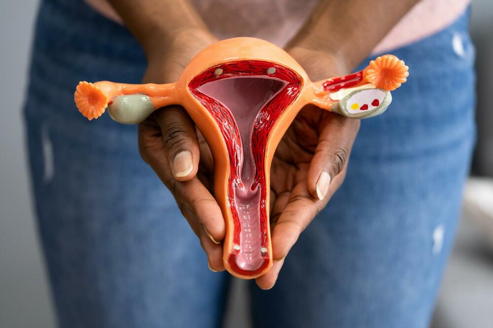 Materica, Jajnici, Ženski reproduktivni sistem