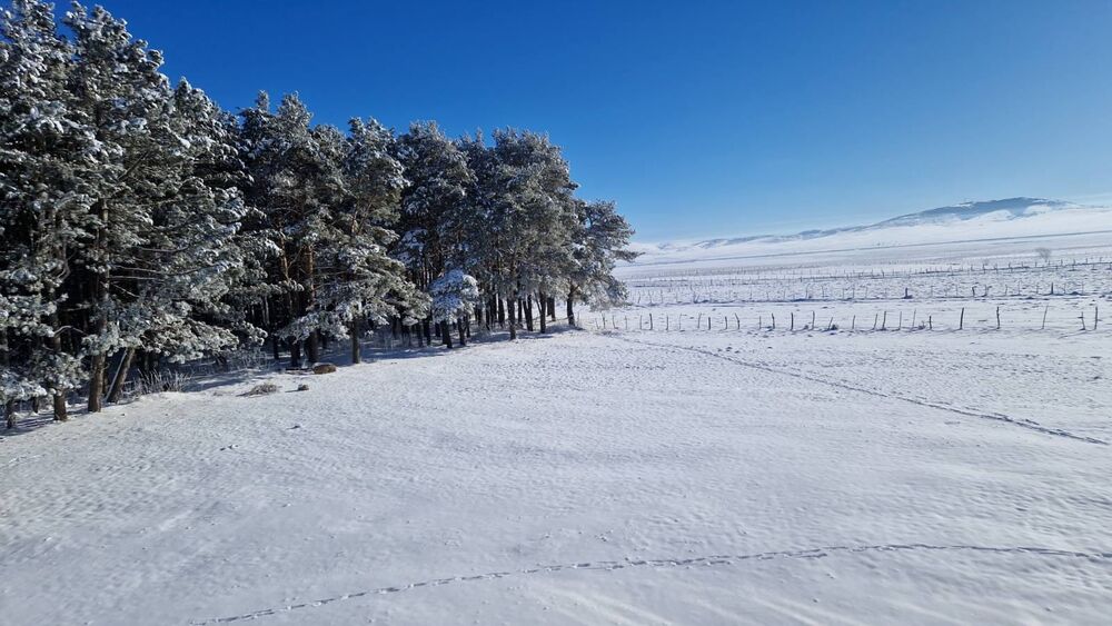 Sjenica, Sneg, Zima