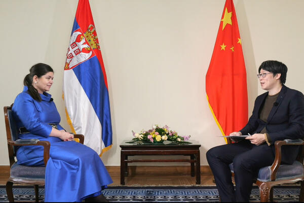 Ambasadorka Srbije: Dva zasedanja formulišu dalji razvoj Kine, a utiču i na čitav svet