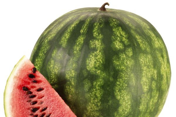 Deca je vole, odrasli je vole: Otkrijte kako može biti zabavna (VIDEO)