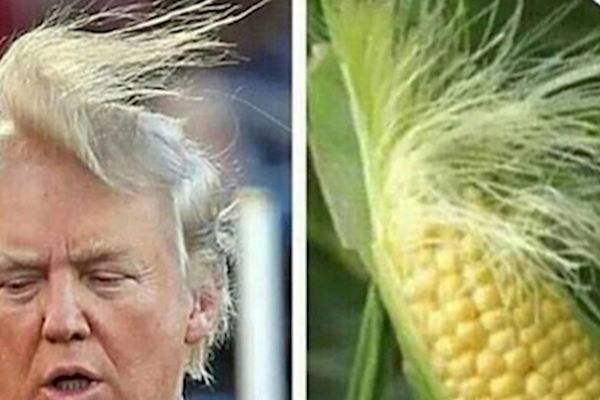 16 pojava koje ŠOKANTNO podsećaju na nešto sasvim drugo! (FOTO)