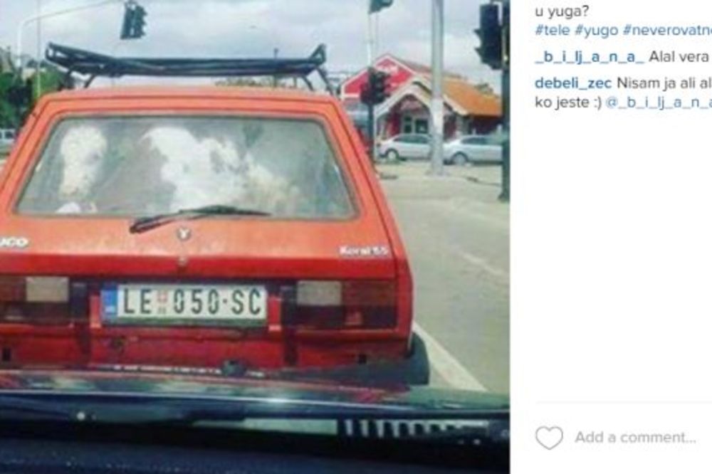 KAKO MU JE POŠLO ZA RUKOM: Leskovčanin smestio živo tele u jugića!