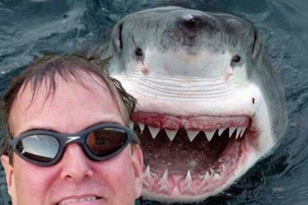 Ove godine više ljudi stradalo je od SELFIJA nego od AJKULA! (FOTO)