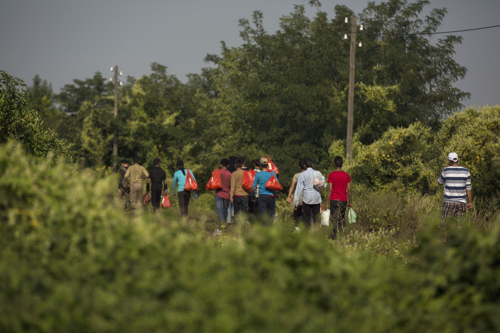 MIGRANTI PRONAŠLI RUPU NA GRANICI: Evo kako preko Hrvatske beže u slobodu!