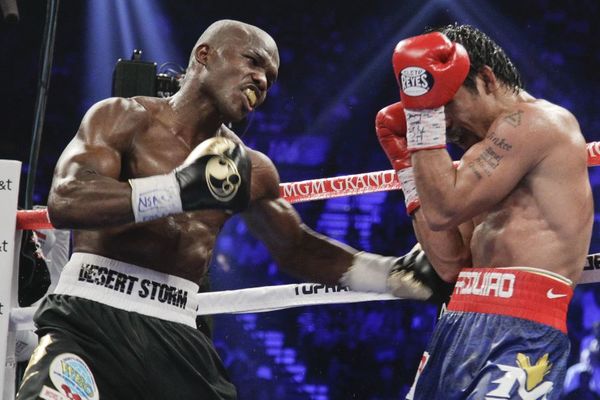 13 saveta najboljeg borca na svetu kako se postaje šampion! (FOTO) (VIDEO)