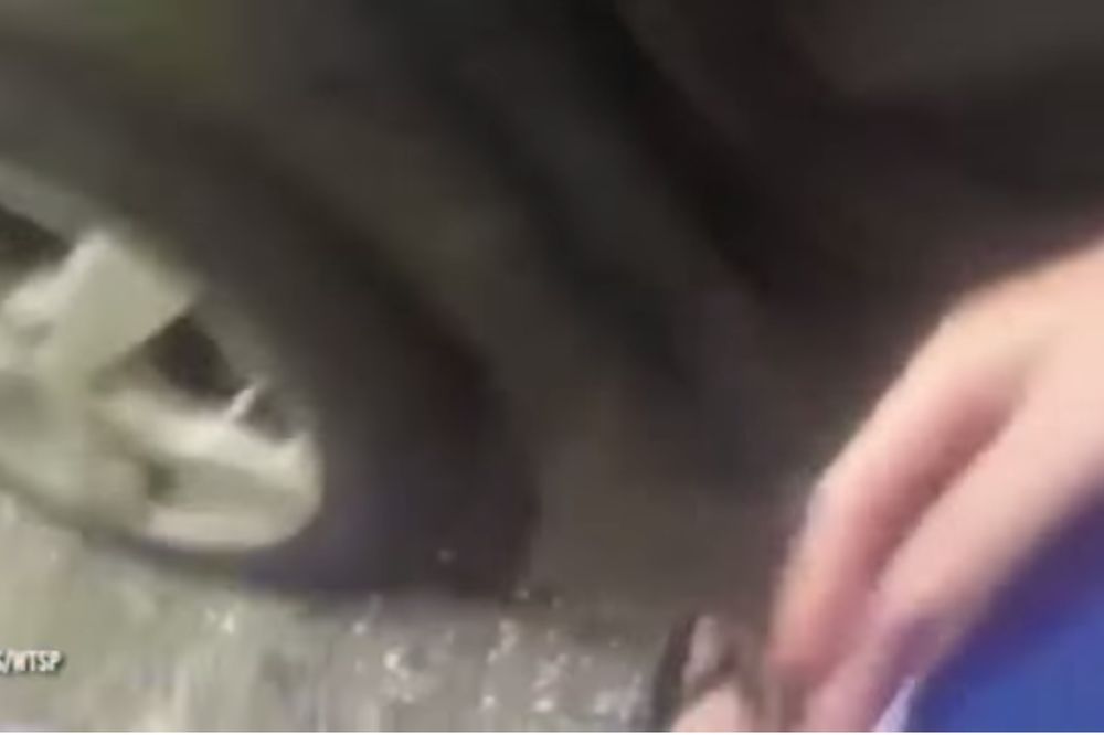 NASILJE U PORODICI: Muž snimio BIVŠU ŽENU kako ga ZLOSTAVLJA! (VIDEO)