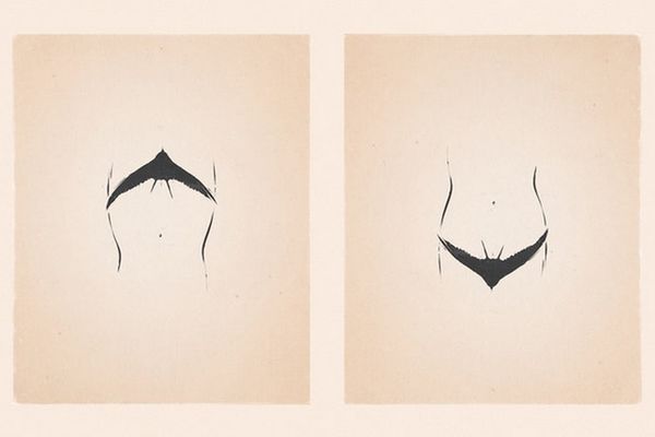 Mislite da znate šta je na ovim slikama? POGLEDAJTE PONOVO! (FOTO)