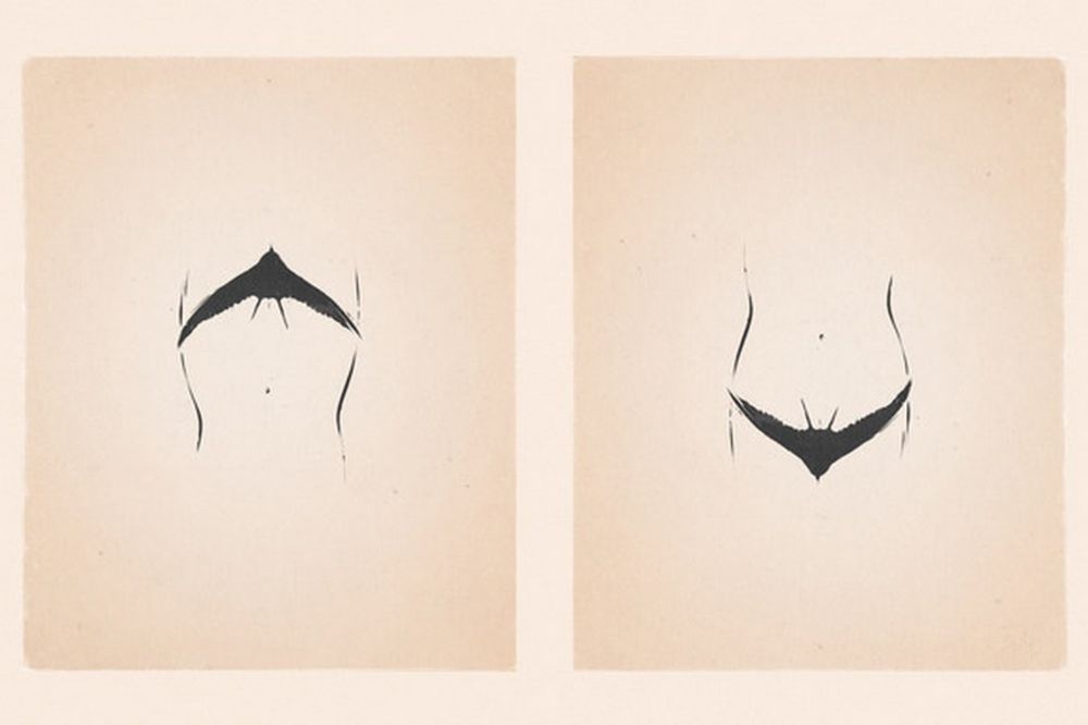 Mislite da znate šta je na ovim slikama? POGLEDAJTE PONOVO! (FOTO)