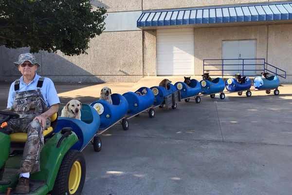 Rasplakaće vam se srce kad vidite šta ovaj dekica radi za napuštene kuce! (VIDEO) (FOTO)