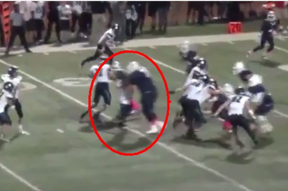 KAD GA VIDITE, UPLAŠITE SE: Ima 200 kila, visok je 213 cm i star 17 godina! (VIDEO)