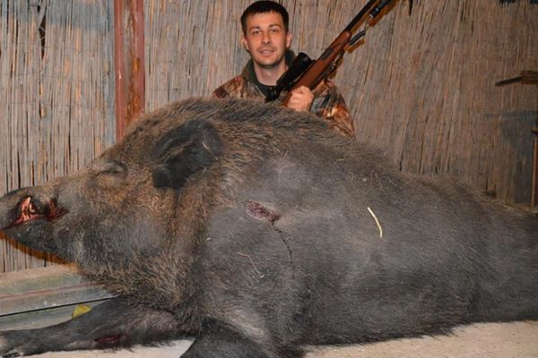 UBIO VEPRA OD 230 KILA: Ovoliku životinju u Srbiji niko nikad nije video!