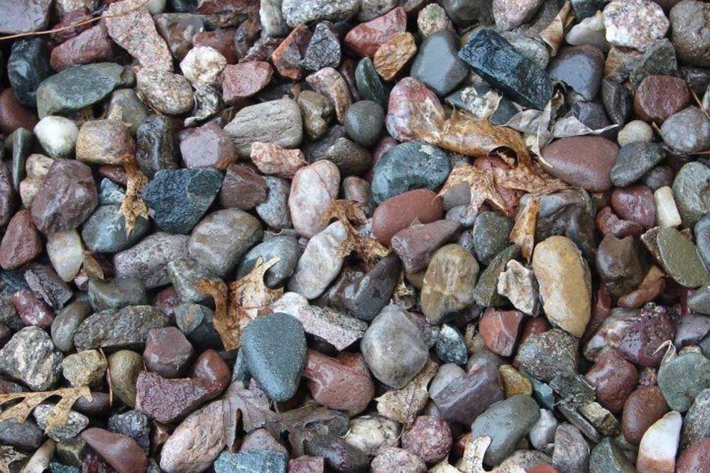 FOTO KVIZ: Da li možete da nađete žabicu?