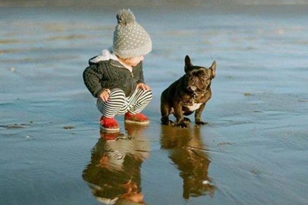 15 neodoljivih fotki beba i njihovih ljubimaca! (FOTO)