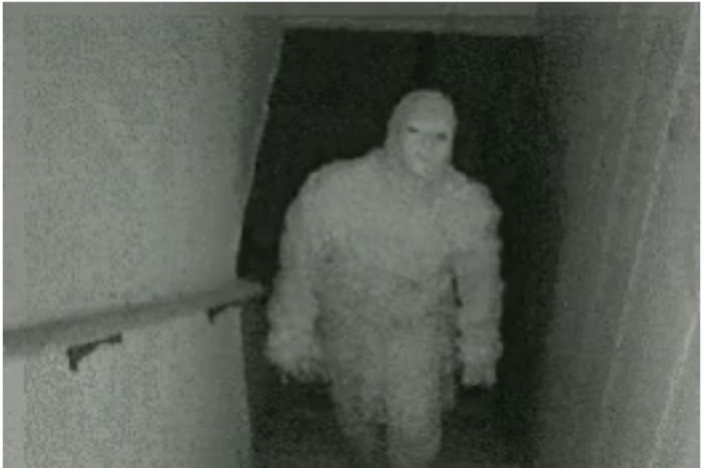 Da li smete da ovaj snimak pogledate do kraja? (VIDEO)