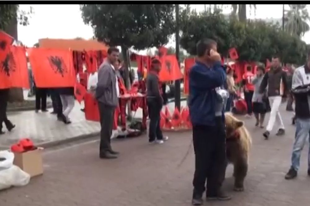 Albanci doveli pravog medveda ispred stadiona u Elbasanu! (VIDEO)