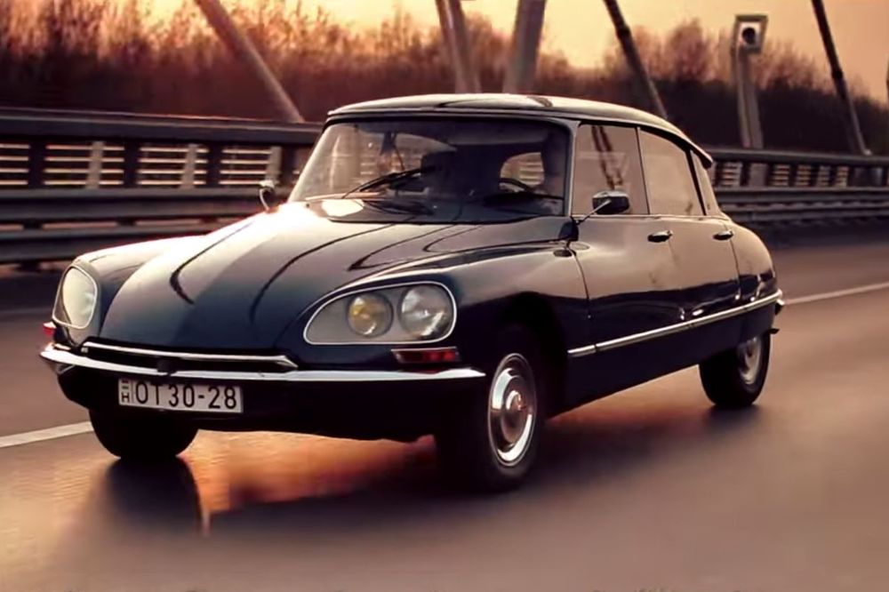 Zauvek boginja sitroena: Ajkula napunila 60 godina (FOTO) (VIDEO)