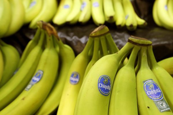 Znate li šta znače one nalepnice na bananama? Šokiraće vas odgovor!