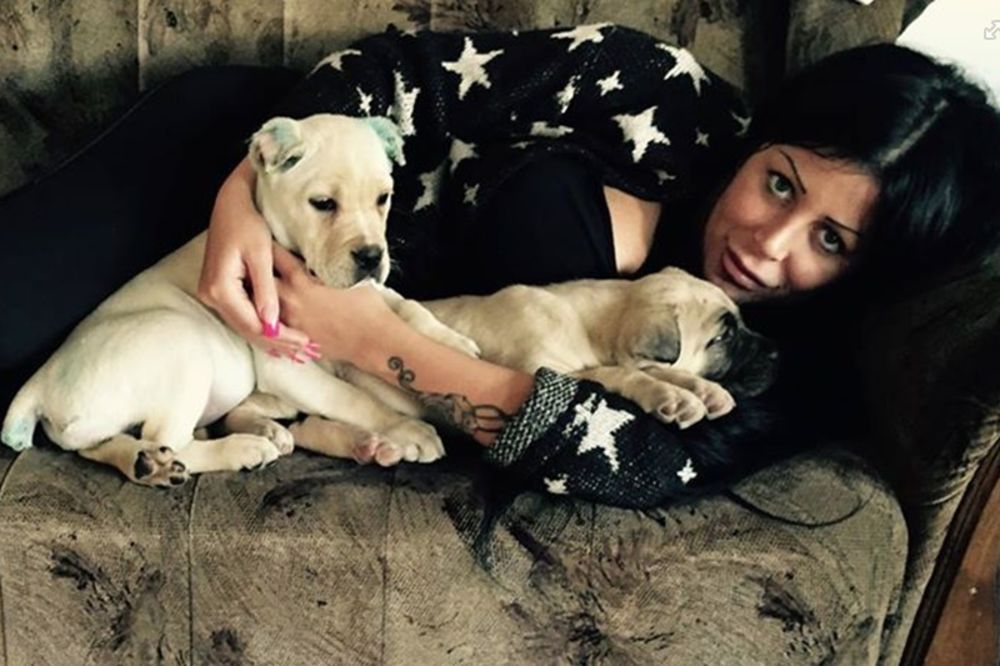 Spasite psa! On nije dužan da gleda onaj blud na Farmi!