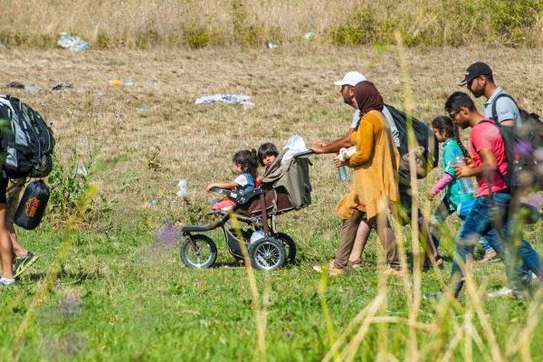 Šest beba migranata rođeno u Srbiji od početka godine! (VIDEO) (FOTO)
