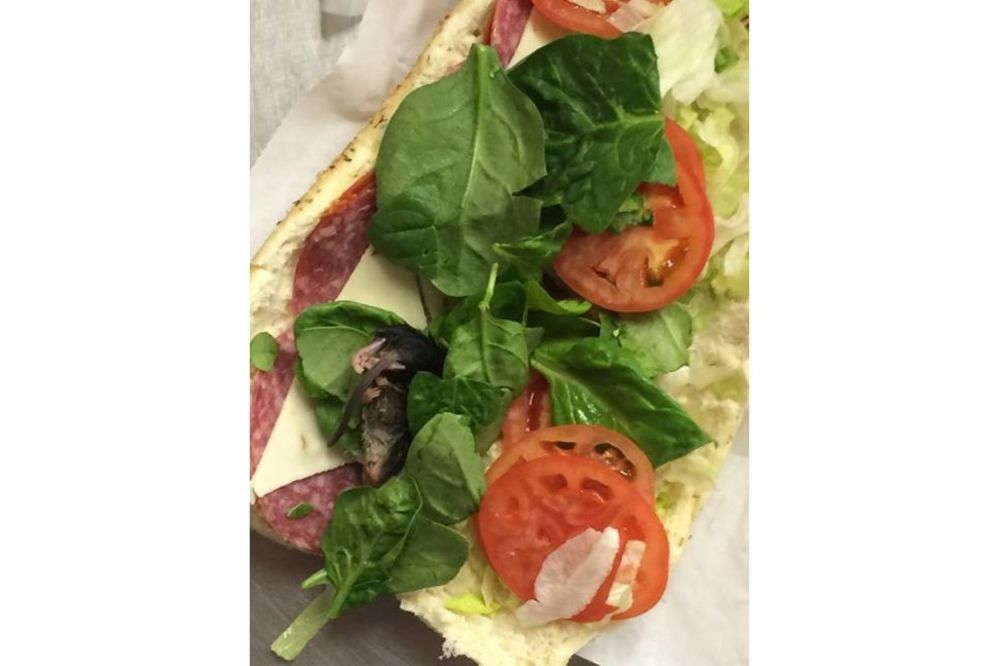 Fuuuuuuj: Pronašao pacova u sendviču! (UZNEMIRUJUĆI FOTO)