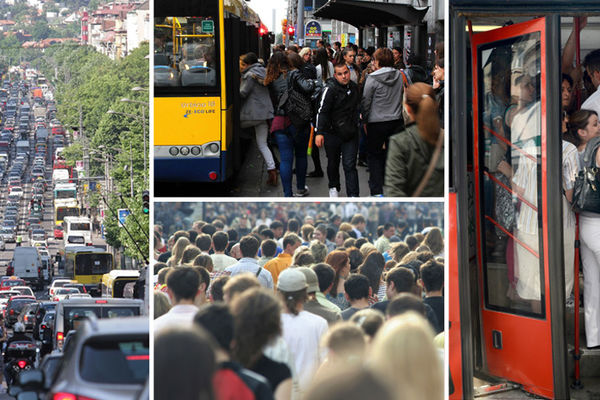 Jedni s*ru, drugi duvaju, treći prde: Šta prosečan Srbin misli o Beogradu i saobraćajnoj gužvi! (VIDEO)