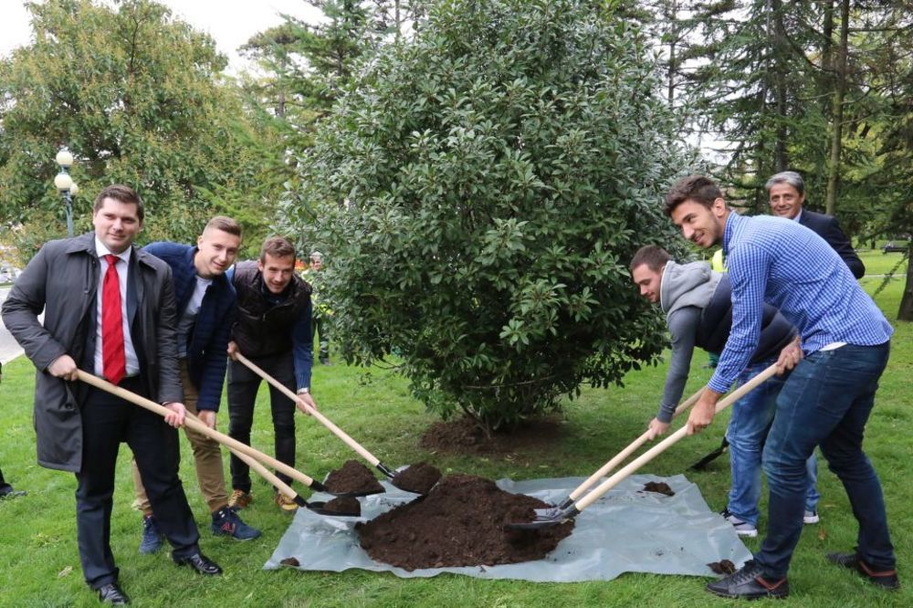Stvarno su momci za primer: Zlatni orilići ulepšavali Beograd! (FOTO)