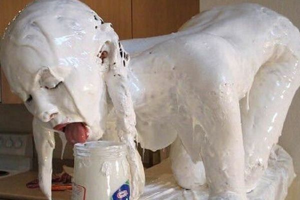 24 fotografije koje apsolutno nemaju nikakve veze sa životom! (FOTO)