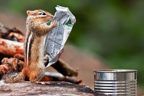 Šta je ovo? Gde sam ja? 16 totalno zbun fotki zbog kojih ćete se zabrinuti za svoj vid (FOTO)