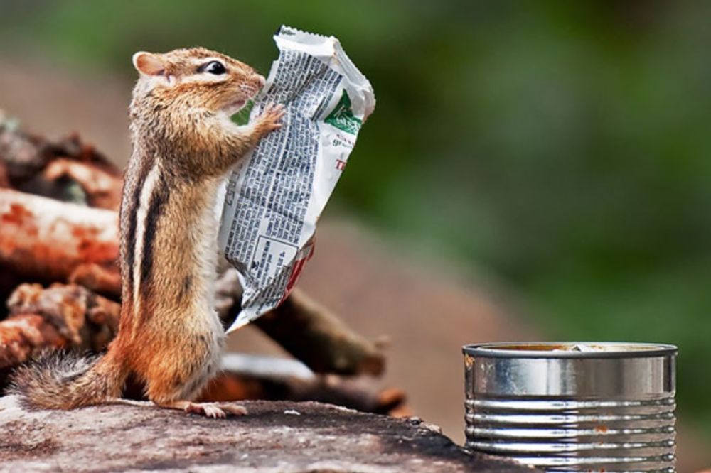 Šta je ovo? Gde sam ja? 16 totalno zbun fotki zbog kojih ćete se zabrinuti za svoj vid (FOTO)