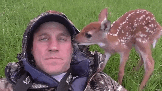 Čovek spasao život jelenčetu. Posle nije htelo da se odlepi od njega! (GIF)