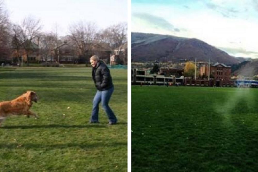 Htela je da se oprosti od svog psa, a onda se desilo nešto neverovatno! (FOTO)