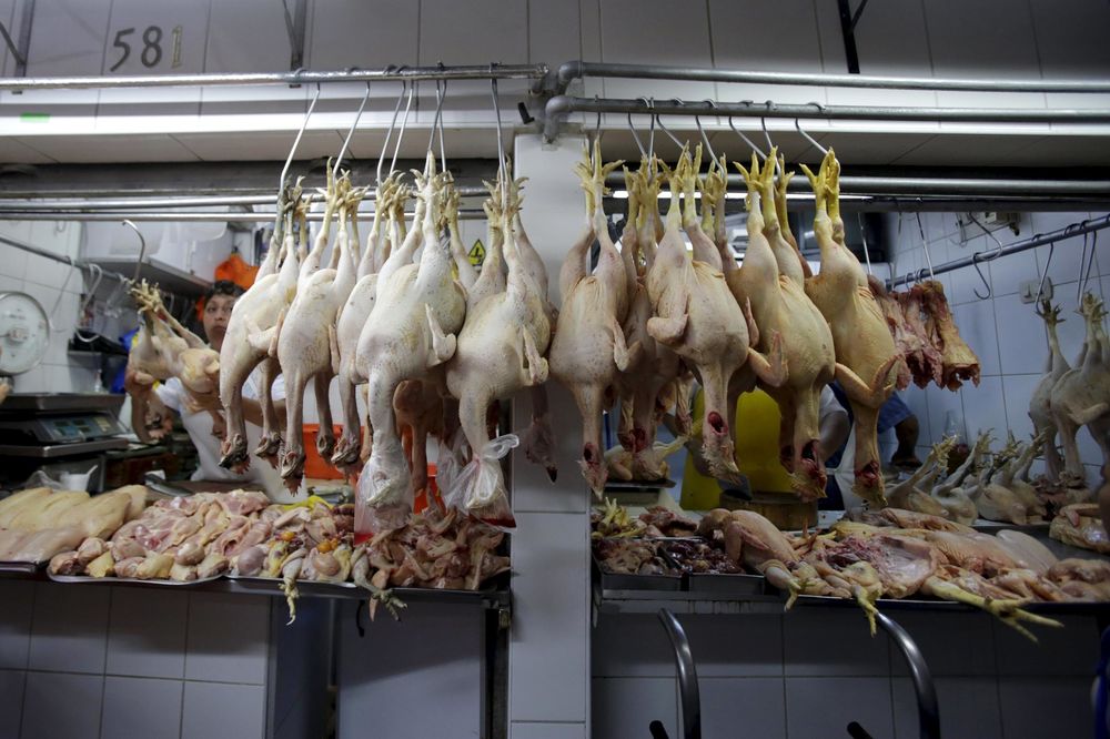 Pilići i ćurke su zaklani: Nudio živinu kolegama preko službenog mejla! (FOTO)