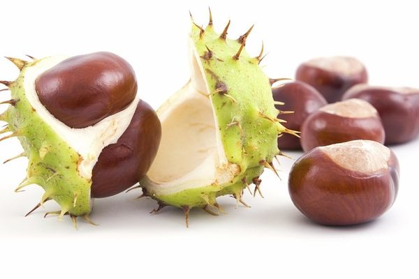 6 najjednostavnijih načina da ispečete kestenje, a da vam ne eksplodira u rerni (RECEPT) (VIDEO)