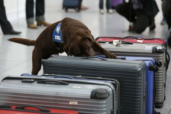Bomba iz Drugog svetskog rata pronađena tamo gde joj se malo ko nadao (FOTO)