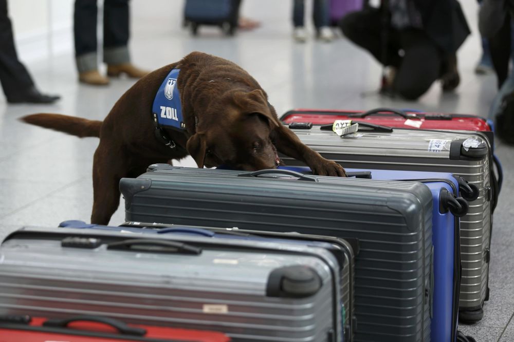 Bomba iz Drugog svetskog rata pronađena tamo gde joj se malo ko nadao (FOTO)