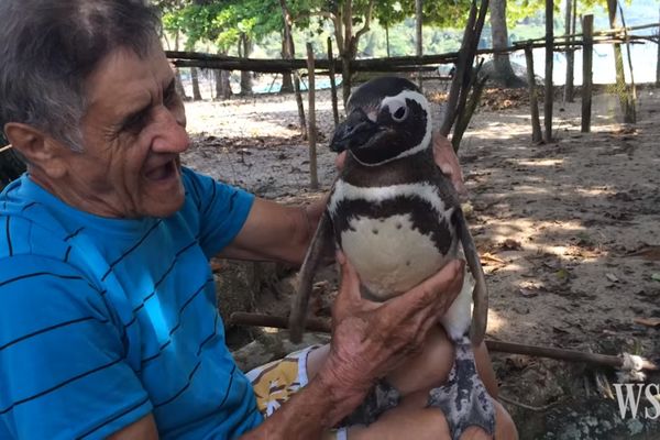 Prelazi hiljade kilometara svake godine da bi video čoveka koji mu je spasio život (VIDEO)