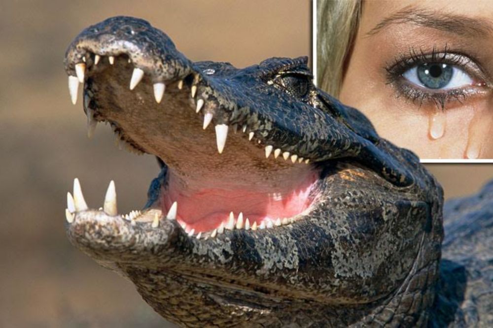 Zašto se kaže - lije krokodilske suze? (FOTO) (GIF)