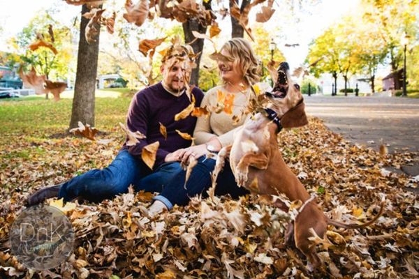 Evo zbog čega se kaže ljubomoran kao pas! (FOTO)