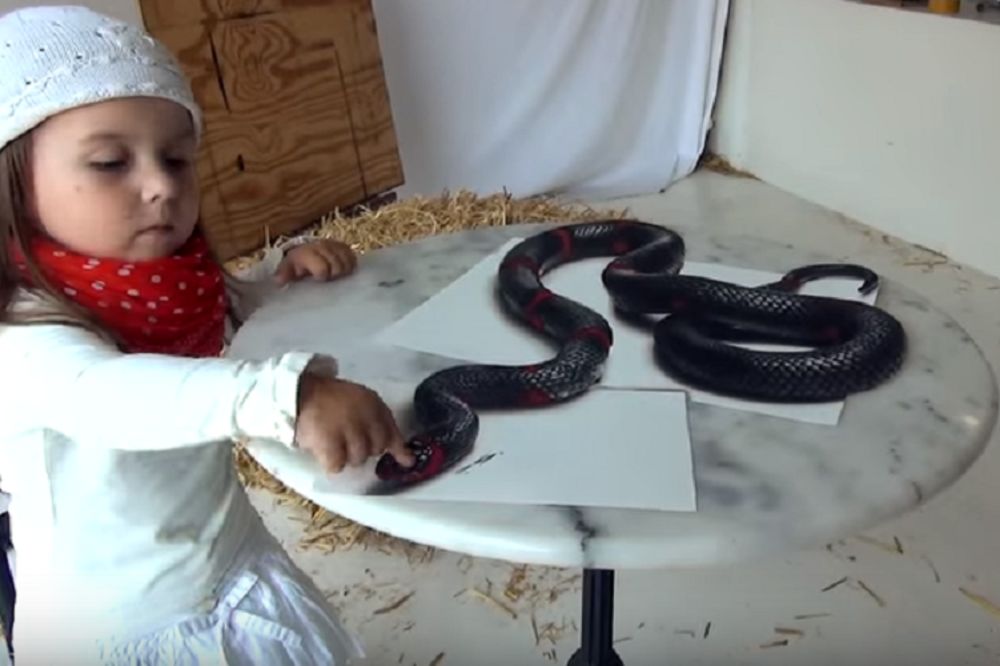 Devojčica i njena opasna životinja nimalo ne brinu njene roditelje (VIDEO)