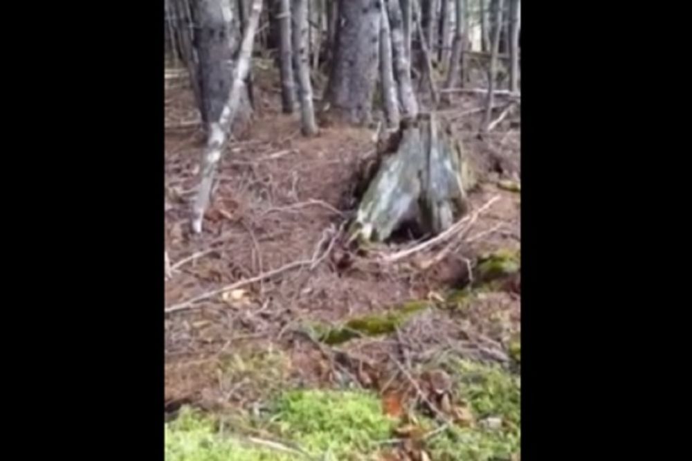 Strava i užas: Neverovatan snimak na kom zemlja bukvalno diše! (VIDEO)