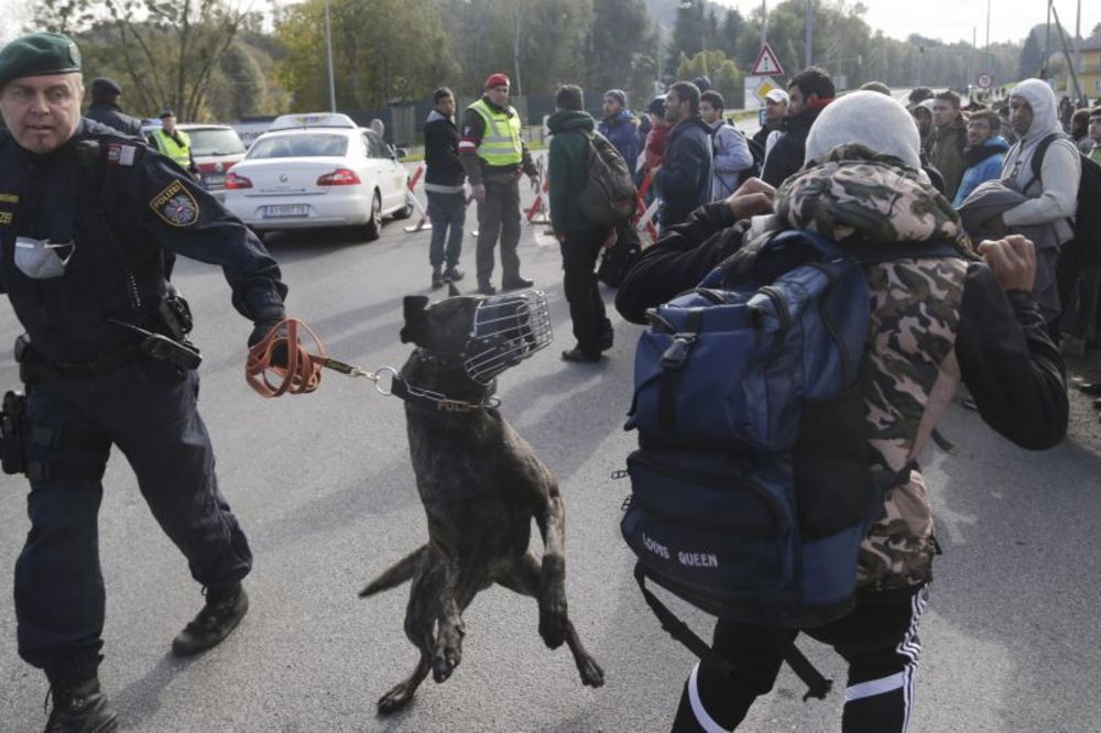 NFL igrač lajao na policijskog psa. Da, dobro ste pročitali - lajao na psa i preti mu zatvor! (FOTO)