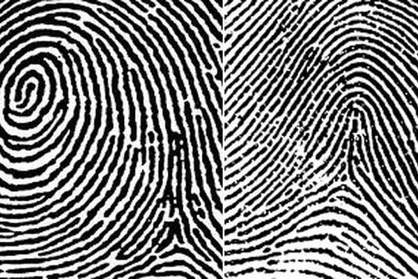 Koliko ste inteligentni? Šta vrhovi prstiju govore o vama? (FOTO)